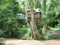 野象谷图片,大自然的奇观与和谐共生