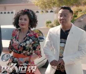 归来去绿卡的背景,归来去背后的传奇故事